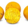 Anaconda Boilies Magist Scopex/Vanille 16mm 1kg