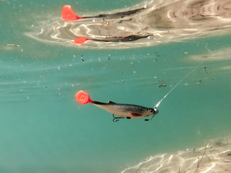 Umelá nástraha Delphin Realix 3D / 2ks - MojeRybárstvo.sk Umelá nástraha Delphin Realix 3D / 2ks – Obrázok 12