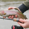 Delphin TROUTERA HardLure - MojeRybárstvo.sk Delphin TROUTERA HardLure – Obrázok 10