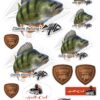 Mix nálepek Giants Fishing Okoun ( 17ks )