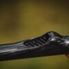 Giants fishing Vrhací tyč Gaube 3K Carbon Baiting Stick 29 mm – Obrázok 2