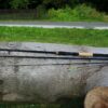 Giants fishing Prut Radiant MX Feeder 11ft 50-100g – Obrázok 2