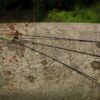 Giants fishing Prut Black Method Feeder 11ft 40-90g – Obrázok 5