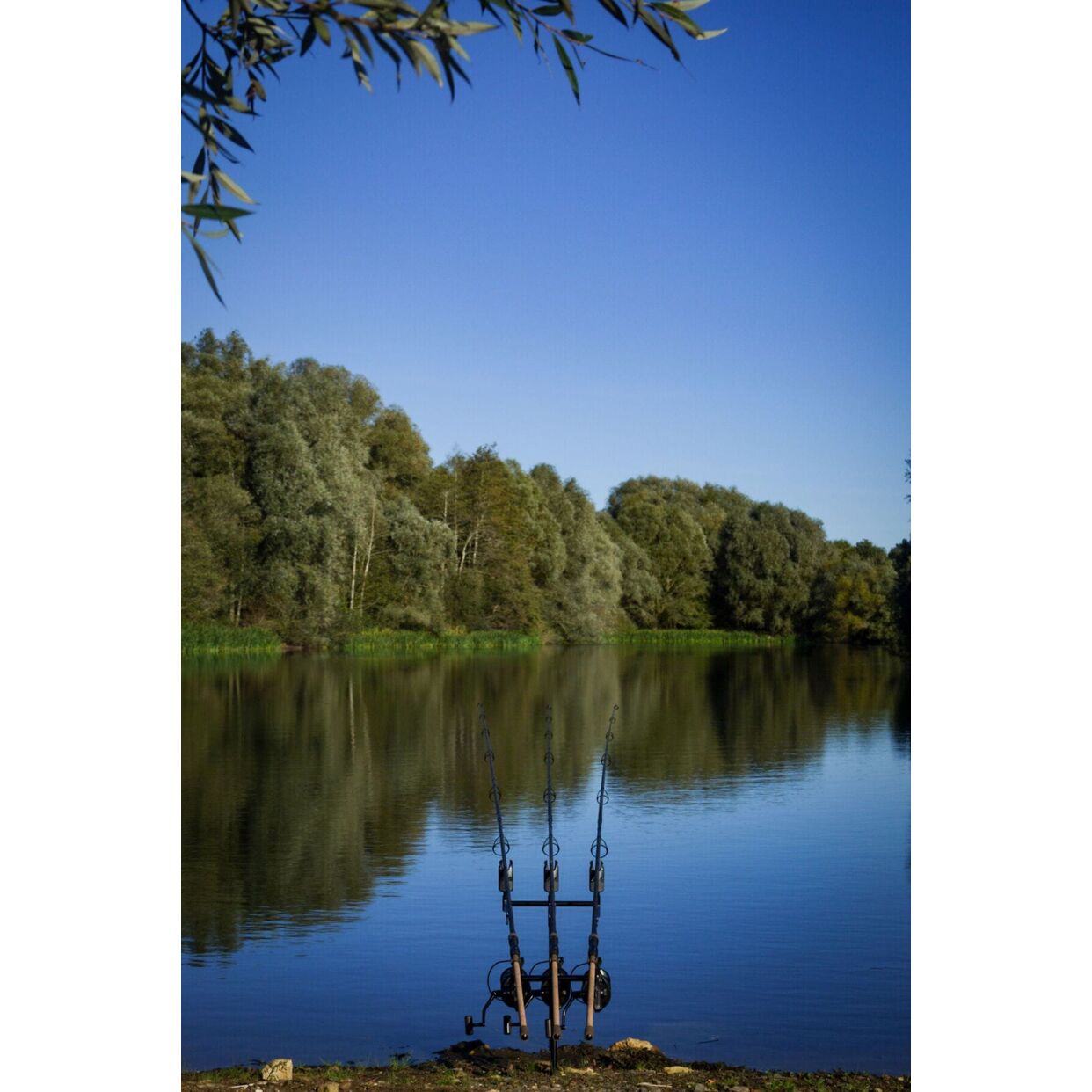Wychwood kaprový prut Epic 12ft(3,6m), 3.5lb, 2-díl, Slim Cork Xtra Distance - MojeRybárstvo.sk Wychwood kaprový prut Epic 12ft(3,6m), 3.5lb, 2-díl, Slim Cork Xtra Distance – Obrázok 7