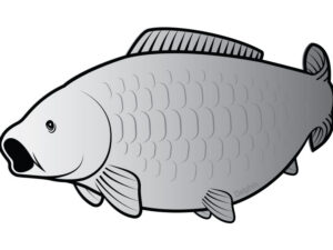 Nálepka kapor SILVER