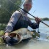 ZFISH Sumcový Naviják Zeus ZX 8000 – Obrázok 2