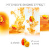 ZFISH Smoke Hurricane Wafters 2in1 – Obrázok 2