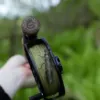 Cortland muškařská šnůra Euro Nymph Braid Core .022 Fresh – Obrázok 2