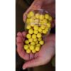 Nikl Plovoucí boilies Citrus – Obrázok 3