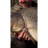 Carp´R´Us Háčky Wide Gape ATS 10ks – Obrázok 3