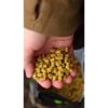 Nikl Pelety Corn 1kg – Obrázok 3