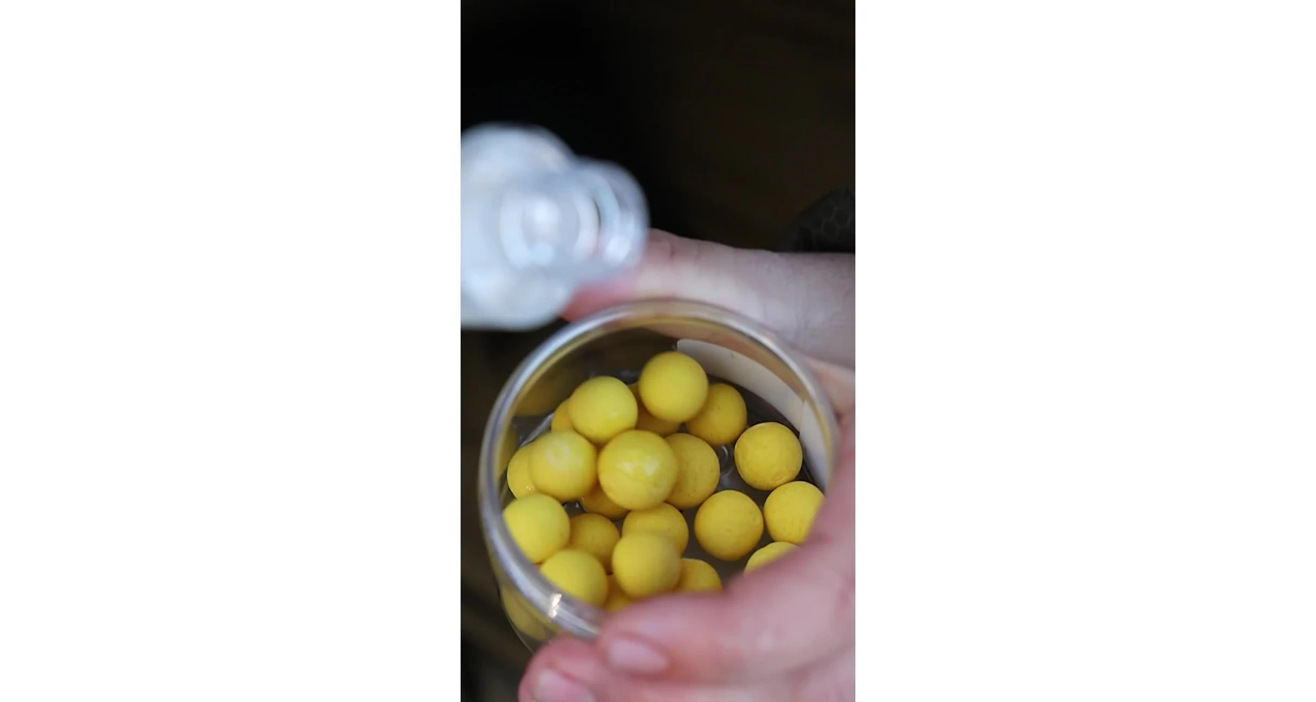 Nikl Esence Corn 50ml - MojeRybárstvo.sk Nikl Esence Corn 50ml – Obrázok 2