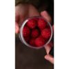 Nikl Rozpustné Criticals boilie Krill Berry 250ml - MojeRybárstvo.sk Nikl Rozpustné Criticals boilie Krill Berry 250ml – Obrázok 3