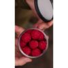 Nikl Rozpustné Criticals boilie Gigantica 250ml – Obrázok 3