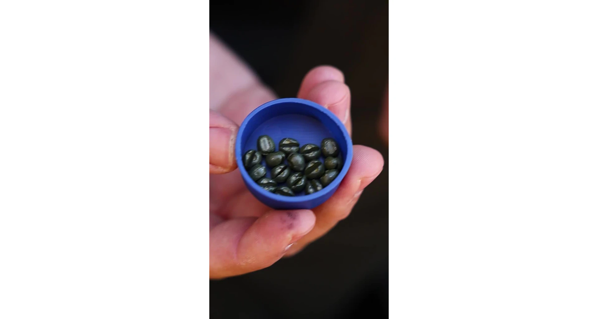 Carp´R´Us Zátěžové broky Camo Shotz Green 15g - MojeRybárstvo.sk Carp´R´Us Zátěžové broky Camo Shotz Green 15g – Obrázok 3