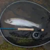 Wychwood muškařský set Fly Fishing Kit 86(2,59m) #4/5 - MojeRybárstvo.sk Wychwood muškařský set Fly Fishing Kit 86(2,59m) #4/5 – Obrázok 6