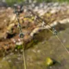 Giants fishing Kaprový prut XRS180 10ft 3.00lb 2pc - MojeRybárstvo.sk Giants fishing Kaprový prut XRS180 10ft 3.00lb 2pc – Obrázok 11