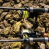 Giants fishing Kaprový prut XRS180 10ft 3.00lb 2pc - MojeRybárstvo.sk Giants fishing Kaprový prut XRS180 10ft 3.00lb 2pc – Obrázok 6