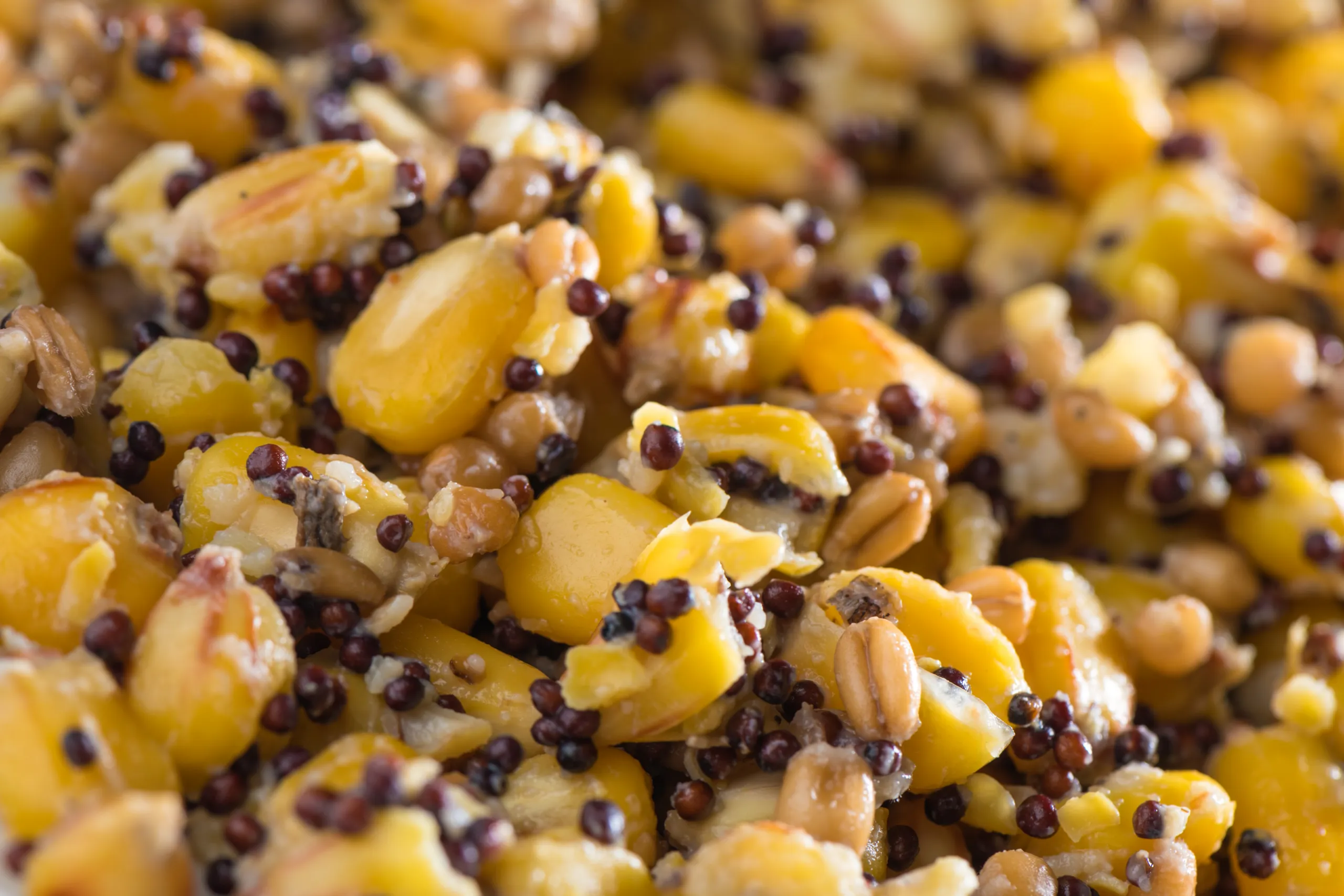 Partikl mix 1kg - MojeRybárstvo.sk Partikl mix 1kg