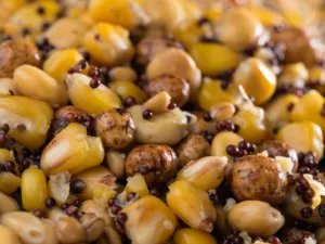Partikl mix premium 5kg