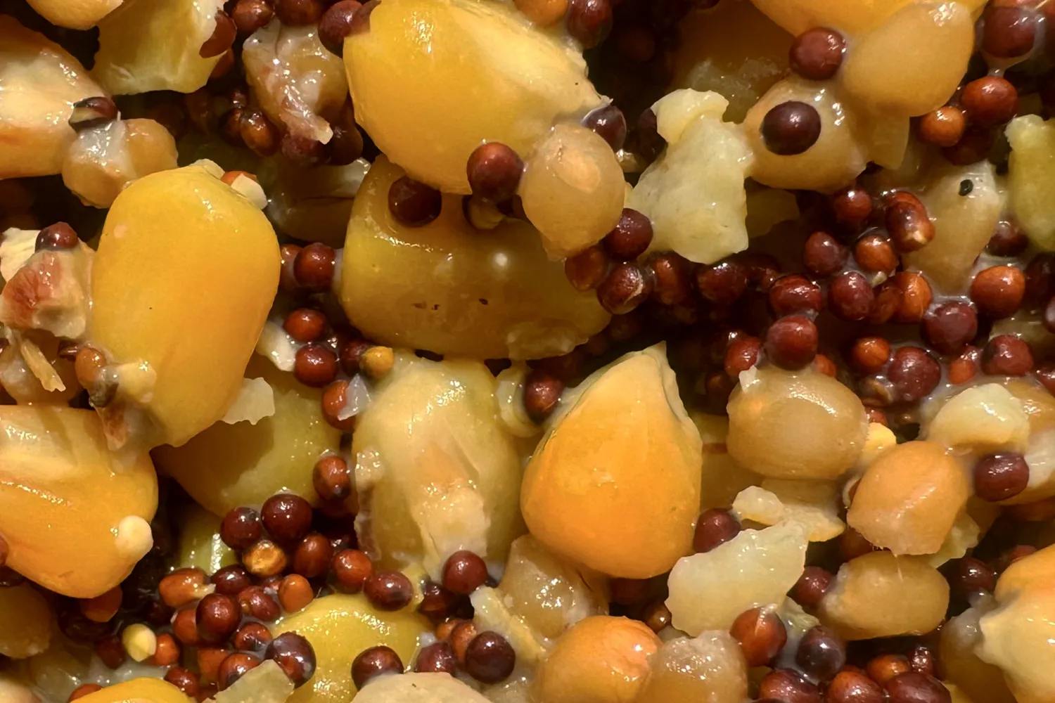 Partikl mix 1kg - MojeRybárstvo.sk Partikl mix 1kg – Obrázok 3