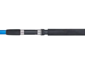Prut Active TeleCarp II 300